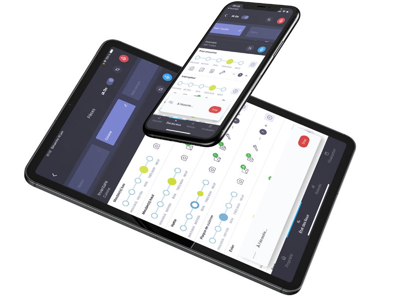 Check-Immo Acta de Entrega